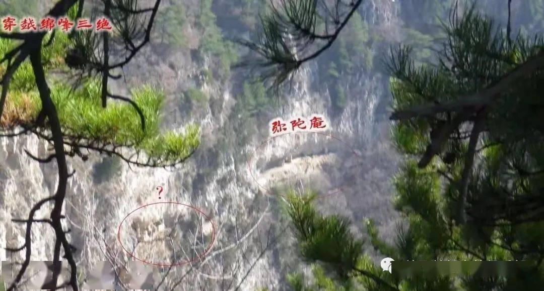 营救小乌龟