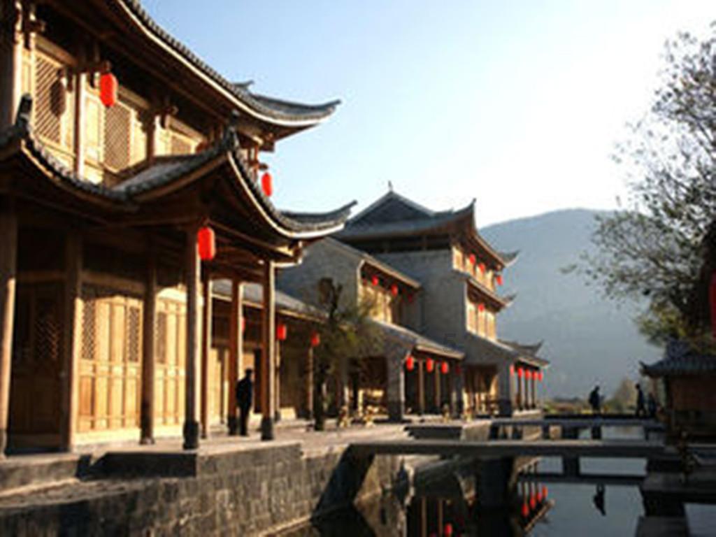 青蛙魔术师